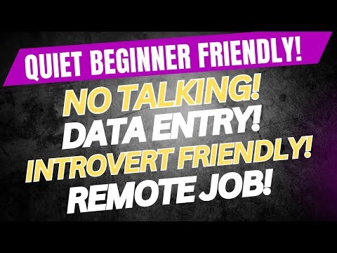 Quiet Beginner Friendly Data Entry Remote Job | Earn While Your Learn | Background Noise Ok