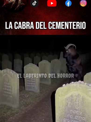 Cabra en dos patas en cementerio: ¿Posesión o ritual?