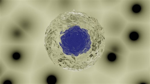 【中字】Blender 建模教程：如何制作细胞 -科学插图 -2020