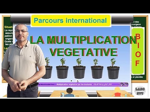 multiplication végétative chez les plantes