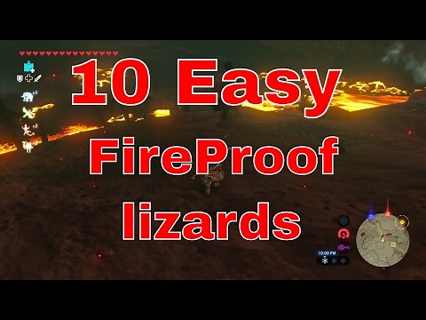 Breath of the wild Fireproof Lizard farm area 10 easy lizards