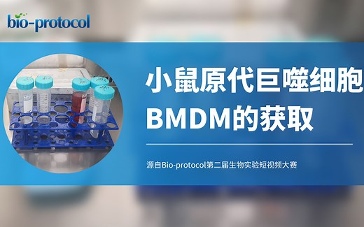 【Bio-protocol】小鼠原代巨噬细胞BMDM的获取