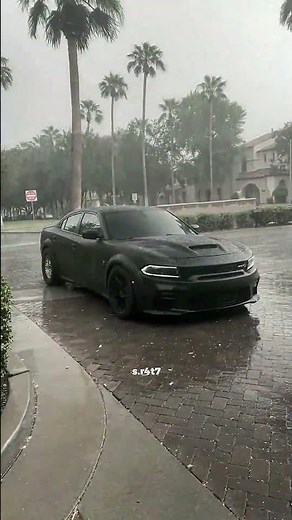 اسأل عني ميت عايش !! #دوج