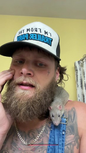 Names for my new best friend? 🤔 #rats #fancyrat #dumborat #rat #fancyrats #fyp #foryou my new rat I think its a fancy rat or dumbo rat 🐀 🤷‍♂️