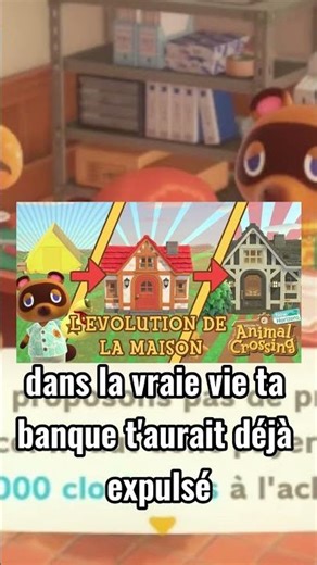 #tomnook SCAMMER OR ANGEL?