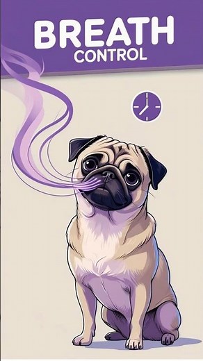 Pug Breathing Mastery: The Life-Saving Pause Technique