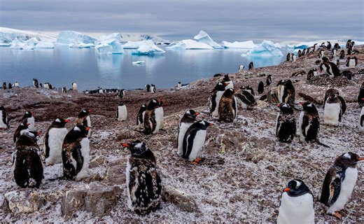 Netflix: la serie documental que estrena su temporada 2 tras cuatro años