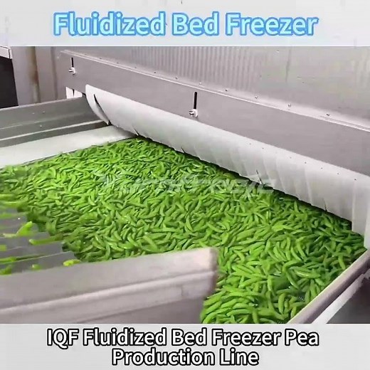 IQF Fluidized Bed Freezer Freezing Pea Production Line
