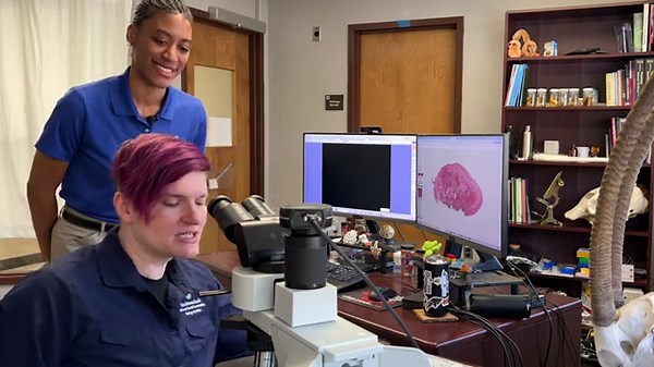 Career Connections: Veterinary Pathologist