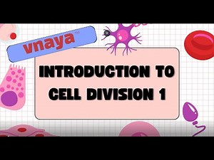 Introduction to Cell Division | Basics of Mitosis & Meiosis