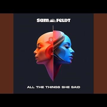 All The Things She Said