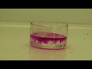 Reakce sodíku s vodou