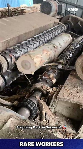 LOG PEELER stripping tree bark ⚙️ #shorts