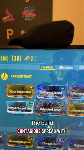 Cedo Prime Build in Warframe!