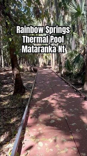 Relaxing at Mataranka Thermal Pools | NT’s Natural Oasis