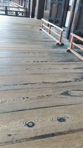 # nature # Japan # motivational thoughts#spring # youtube shorts