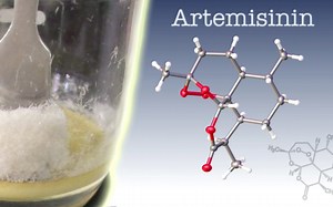 Fighting Malaria with Green Chemistry (Artemisinin) - Periodic Table of Videos