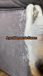 ¿Cuanto pensáis que le durará a Karen su arreglo del sofá? 😼 ➡️ @cat.alekai . . #catlover #animal #gato #cat #catsofinstagram #doglover | Cat.alekai