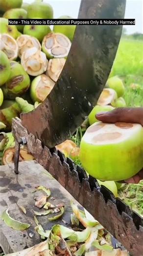 How Ice Apple Beats the Summer Heat Naturally!#shortvideo