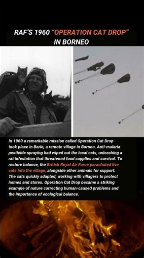 RAF’s 1960 Operation Cat Drop in Borneo