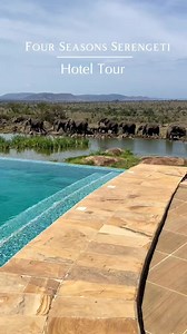 13K views · 358 reactions | Experience the Best: Luxury Safari in...
