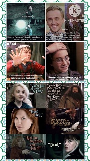 “Harry Potter Facts & Iconic Quotes Collage”