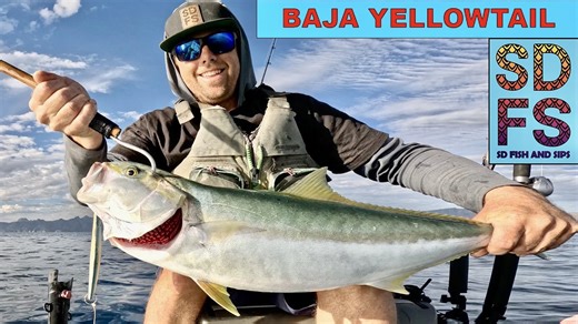 Baja California Yellowtail (Jurel) ¦ YoYo Iron Solo Skiff Fishing Loreto Sea of Cortez Mexico