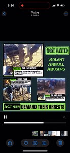 2.2K views · 45 reactions | Meet our MOST WANTED animal abusers!We...