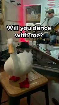 Duck Dancing (viral tiktok)