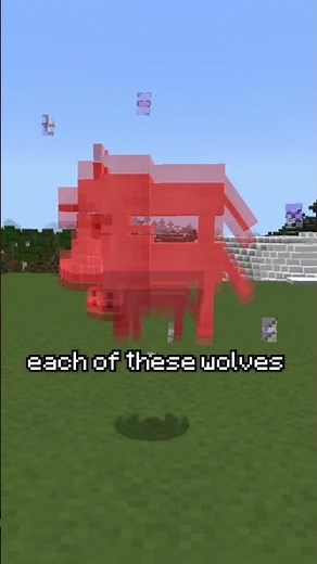 What’s The Rarest Wolf In Minecraft? #shorts