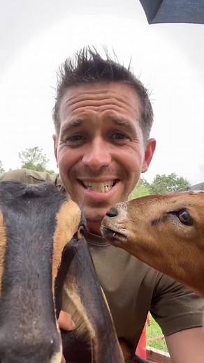 Quality Raw Goat's Milk and Creamery in SC | Best Dairy Farm