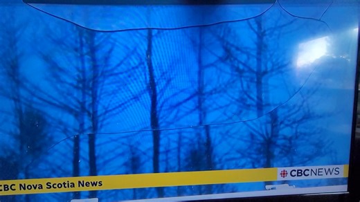 Well I did the best I could. This is such a soft spot for me. Thought I would share . For the people who didn't watch the news. | Jason Burton