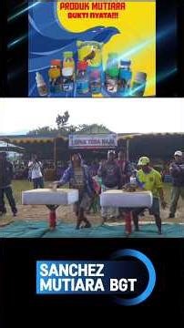 SANCHEZ Mutiara BGT hadirkan pesona baru setelah LEARSON dan FORTUNA #event #hobby #reel #merpati