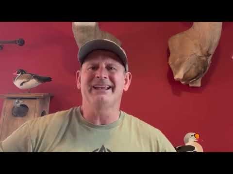 Spring Snow Goose Migration Report