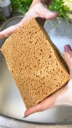 How Much Liquid Can a Sponge Absorb?