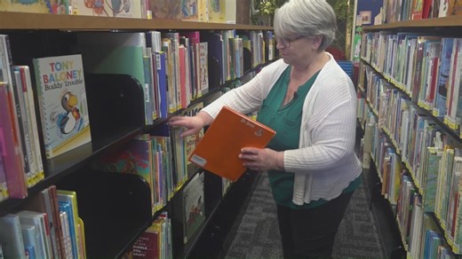 Book-loving librarian shares importance of reading, community libraries