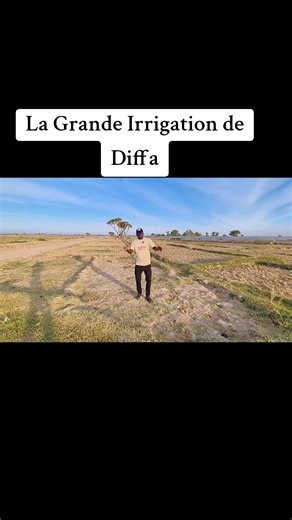 La Grande Irrigation de Diffa : Progrès et Perspectives