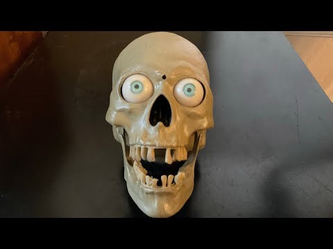 Gemmy Halloween 2010 Scary Skull