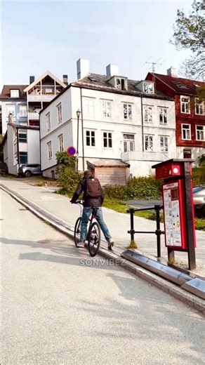 This Machine Does the Climbing for You