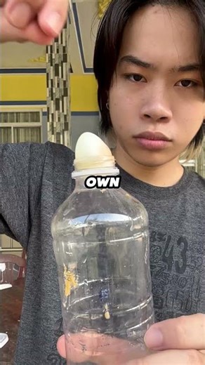 The Self-Sucking Egg Experiment