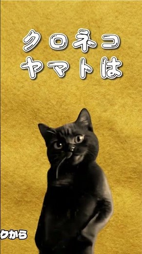 Kuroneko Yamato is within the prefecture and is cheap.