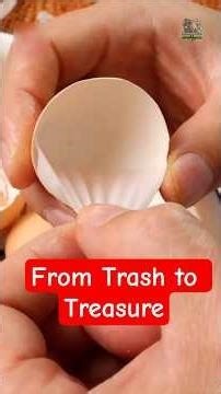 Why this Fragile Layer is so Valuable? #phoenix #eggshell