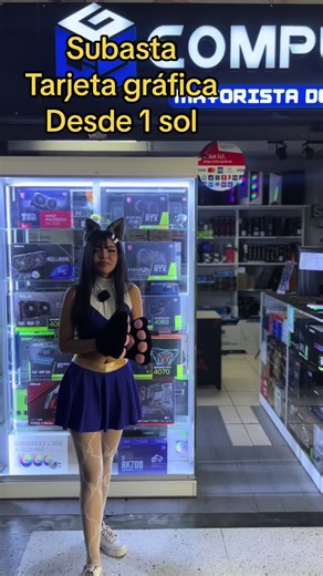 Subasta de Tarjetas Gráficas en CGS Computer