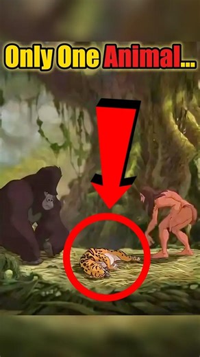 Why Tarzan Never Talks to Tigers… 😳