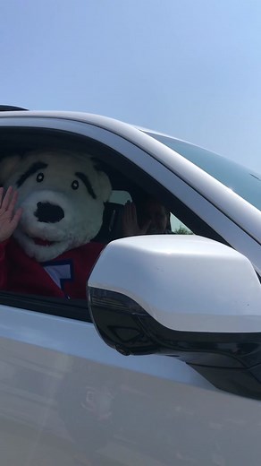 ICEE Bear and CEO Pick Up ICEE @ Crumbl Cookies