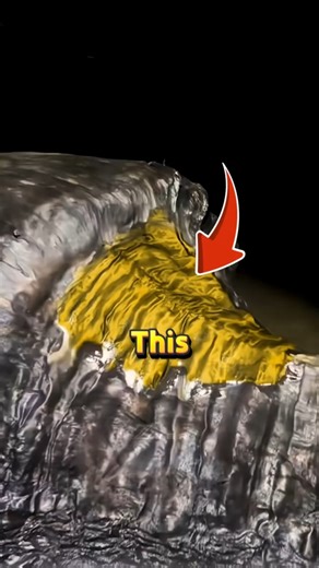 Most Expensive Wood on Earth