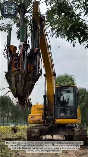Powerful Tree Transplanting Machine | Fast Hydraulic Tree Spade in Action#shorts #usa