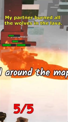 My partner burned all the wolves in the lava