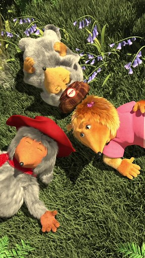 Butterflies Enjoying the Sun on Wimbledon Common