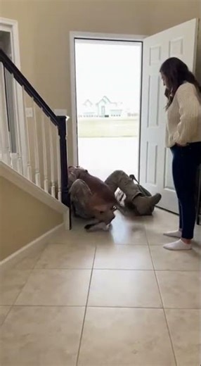 The Dog Knocked Him Down! Watch This Soldier's Emotional Homecoming Reunion 🥺